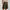WW | Stilvolle Shorts