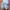 WW | Hip Kurze Hose