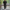 WW | Eleganter Anzug mit Hemd und Hose