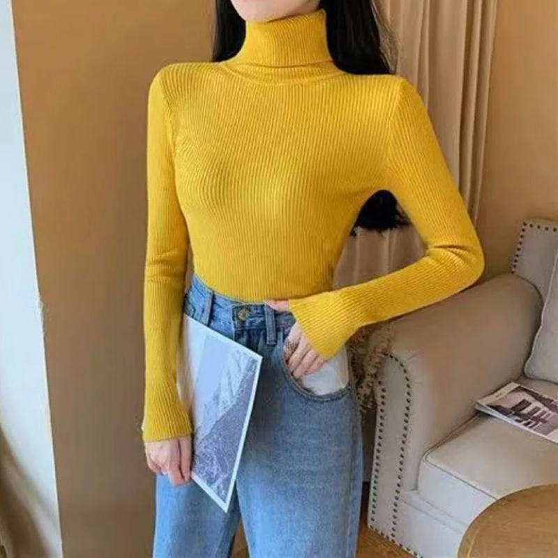 WW | Damen Rollkragenpullover Rippenstrick Stretch Pullover Slim Fit Pullover Rollkragenpullover Damen