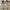 – Lange  Wattierte Jacke