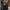 WW - Damen Leder Motorradjacke