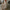 WW | Maxi Kleid Mit Blumenmuster