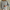 WW – Gebreid vest met knoopsluiting