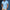 WW | Polo Shirt mit zeitlosem Design