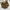 WW aus Satin – 1+2 gratis