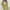 WW | Langer Damenblazer mit Breitem Revers und Relaxter Passform
