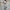 WW | Zweiteiliges Elegantes Satz