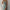 WW | V-Ausschnitt Midikleid Mit Druck Und Schlitz