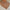 WW | 3 Ketten im Set