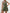 WW | Neck Button Down Weste Und Shorts Satz