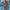 WW-teiliges Bikini-Set | Demi-Set