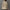 WW | Trenchcoat Mit Reißverschluss Für Frauen