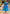 Sofie - Midi-Kleid