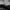 WW | Wintermantel Mit Schmeichelhaftem Schnitt