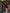 WW | Leichte Maxikleid mit Romantischem Schnitt
