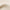 WW | Echtes Leder Schultertasche Elegante Crossbody Handtasche
