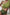 WW – Einteiliger Badeanzug mit Cut-out und Farbblockdesign in der Taille