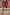 WW | Tanze Durch Die Nacht Pailletten Feder Party Kleid