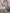WW | Vintage Bedrucktes Maxikleid mit Reverstaschen