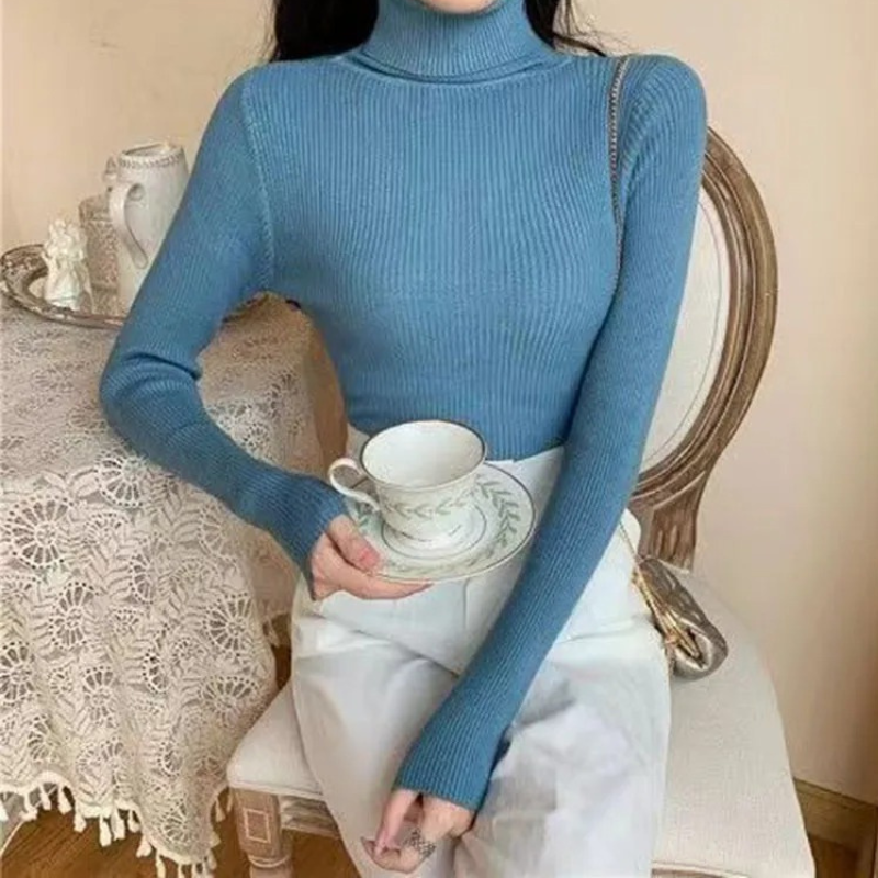 WW | Damen Rollkragenpullover Rippenstrick Stretch Pullover Slim Fit Pullover Rollkragenpullover Damen