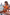 WW – Damen-Bikini