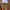 WW | Hip Kurze Hose
