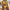 Splash Bikini Set