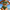 WW | Zweiteiliges Bikini Satz