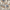 Sneaker – Komfort und Stil vereint