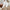 WW | Bequeme Hose aus Leinen