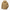 WW | Fjäll Jacke