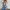 im Denim-Look mit Taschendetails und bequemer Passform