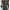 WW | Lässiger Plus Size Pullover Für Frauen