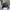 WW | Damen-Biker-Lederjacke mit Reißverschlüssen und Gürtel