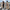 – Lange  Wattierte Jacke