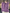 WW | Kaschmir Pullover Damen Runder Ausschnitt Weicher und Eleganter Strickpullover