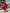 WW | Stilvolle Strapless Brautfestkleid Mit Spirit