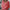 WW | Bluse Mit Umgeschlagenem Kragen