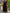 WW | Vintage und Casual Damenkleider aus Festem Leinen