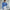 WW – Modischer Strickpullover in Uni mit Rundhalsausschnitt