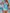 WW | Tankini Zweiteilig Blumenmuster Halterneck Triangel