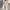 Coat Stilvoller weicher Mantel