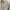 WW | Herren Freizeitjacke