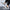 WW | Herren Casual Plattform Sneaker mit