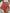 WW | Blumenprint Hohe Taille Minirock