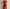 WW | V-Ausschnitt Midikleid Mit Druck Und Schlitz