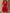 WW | Eleganter ärmelloser Jumpsuit mit Gürtel für Frauen