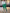 WW | Set aus gestreifter Hose und Kapuzenjacke
