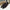 WW | Legere Herren Sommerloafers